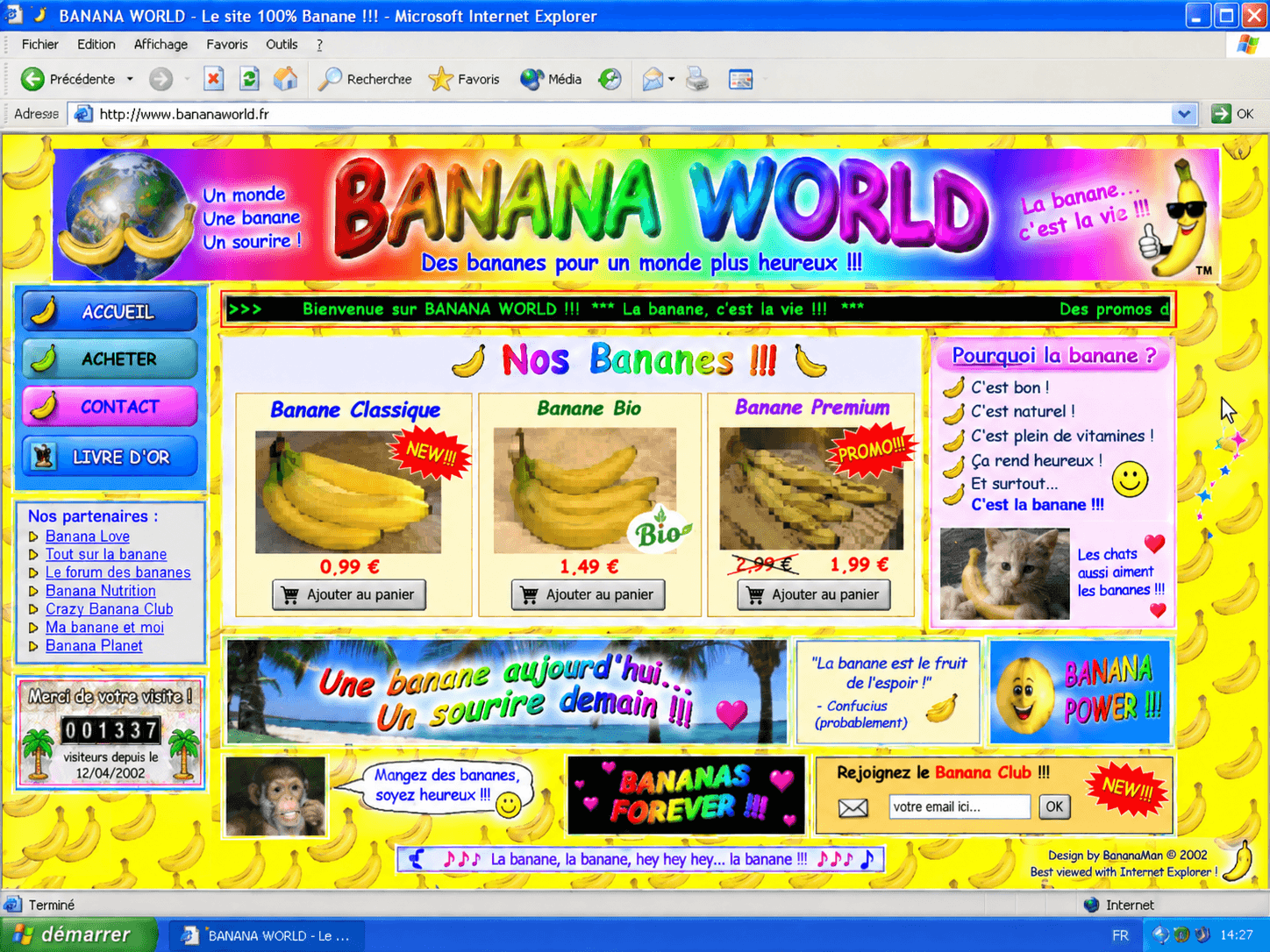 Un site de 2002 : fond à motifs, texte arc-en-ciel, compteur de visiteurs