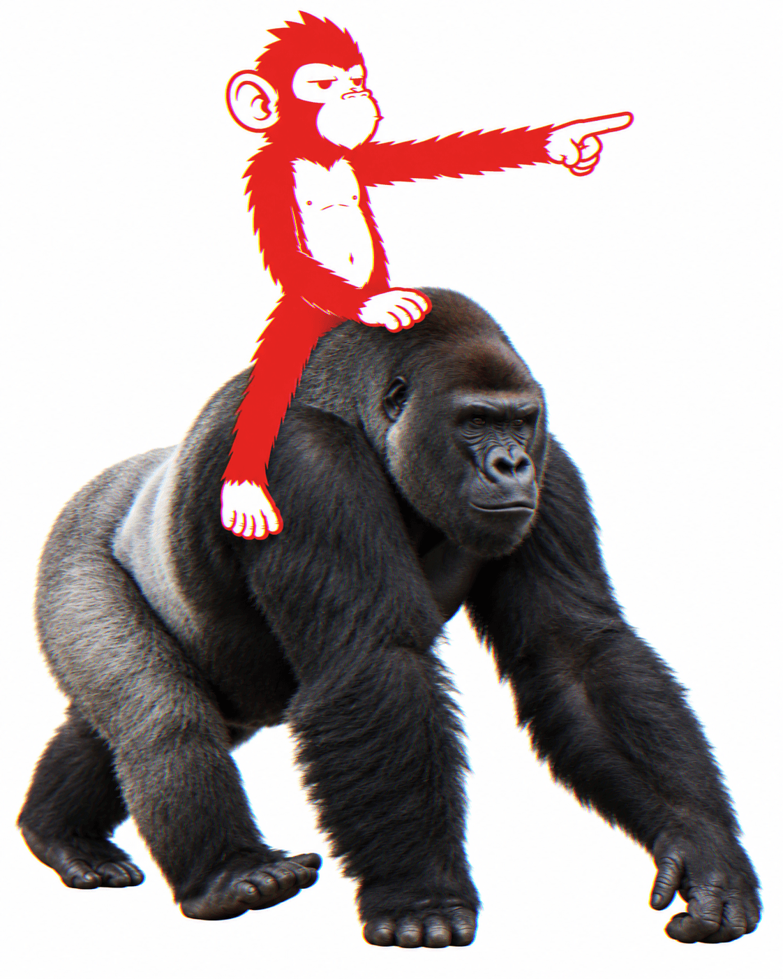 Le singe, juché sur le dos d'un gorille, indique la direction du doigt