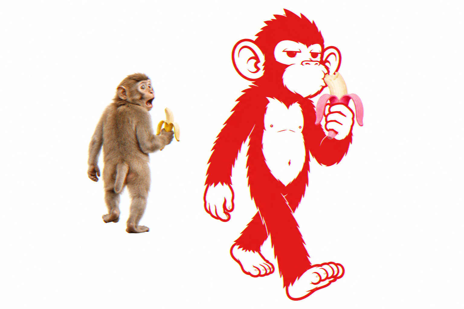 Un singe dévore une banane rose sous le regard médusé d'un autre
