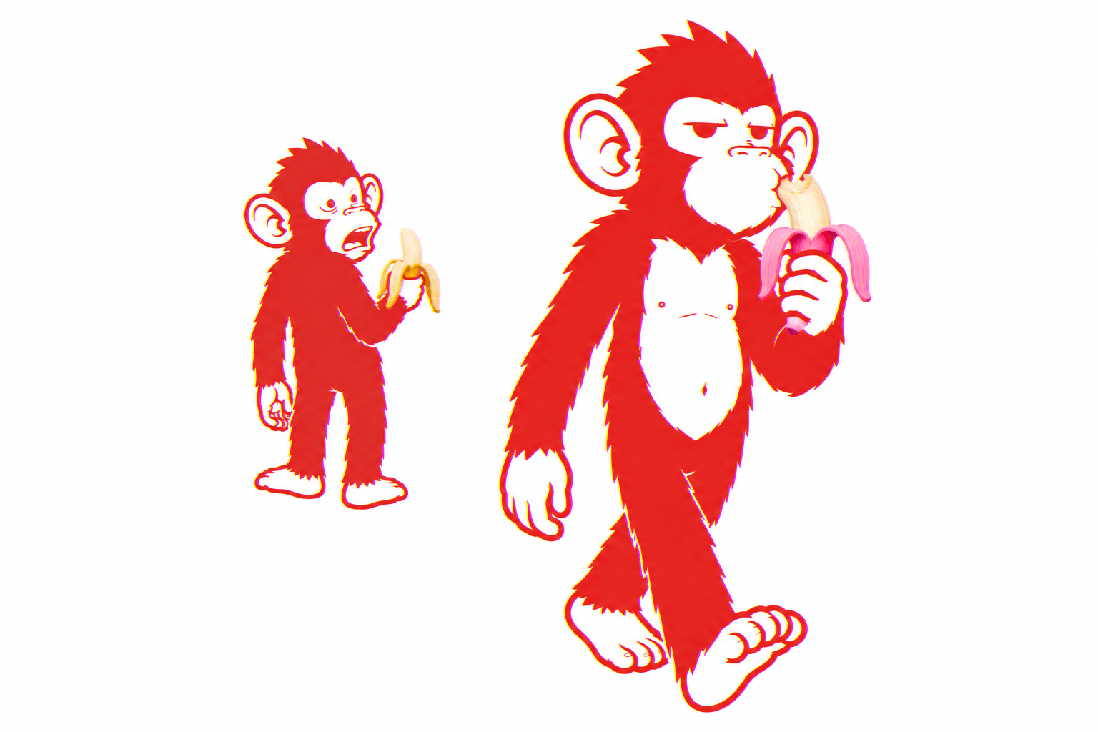 Un singe dévore une banane rose sous le regard médusé d'un autre