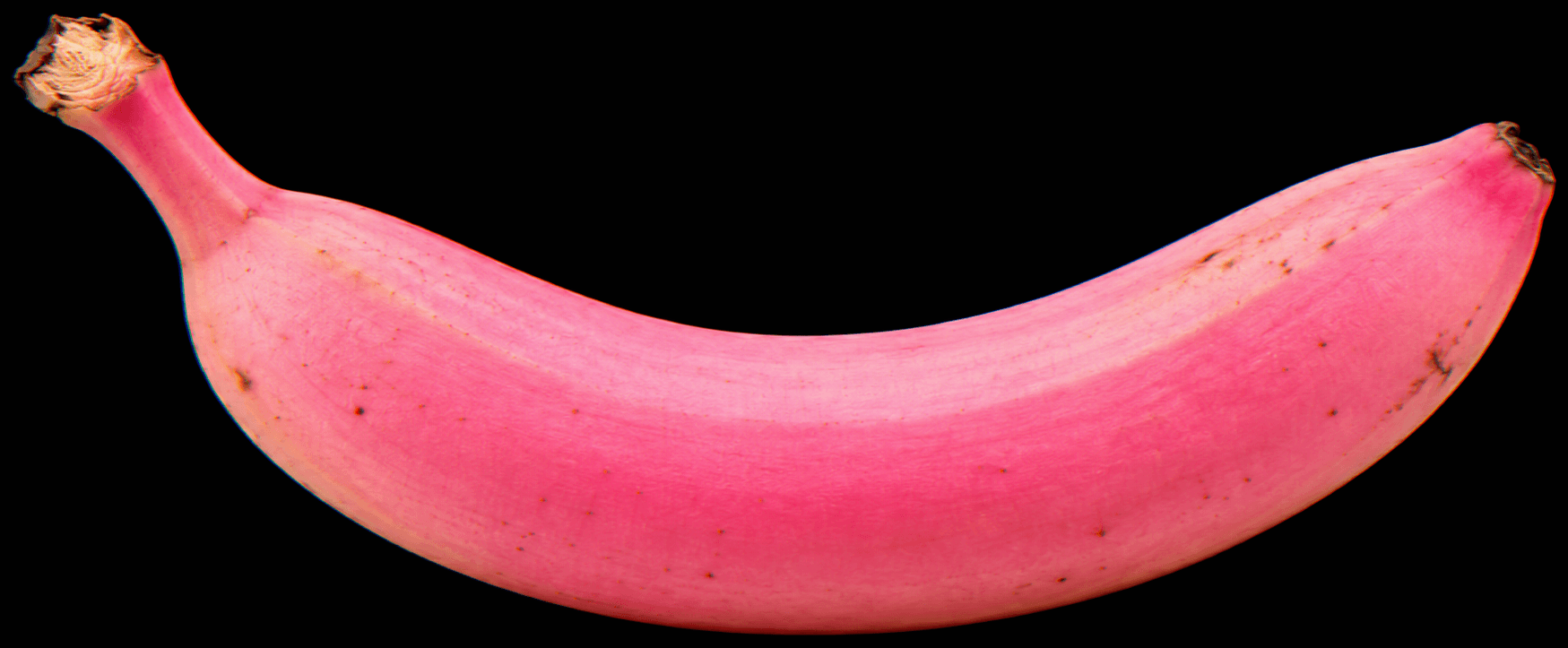 Une banane détourée, qui passe du jaune au rose